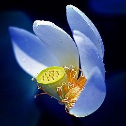 飞机事故训练模拟《航空公司空乘模拟器VR》登陆Steam 